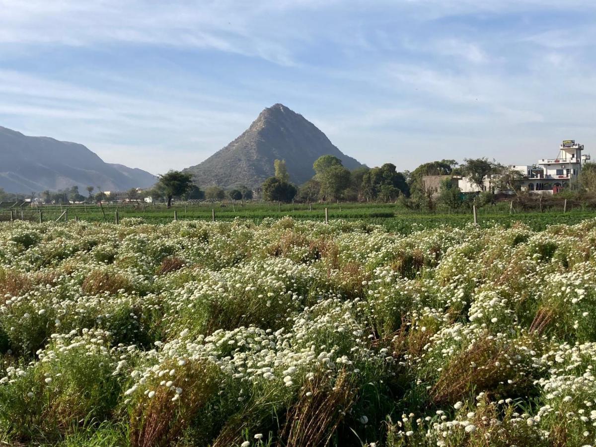 Hotel The Pushkar Flower Экстерьер фото