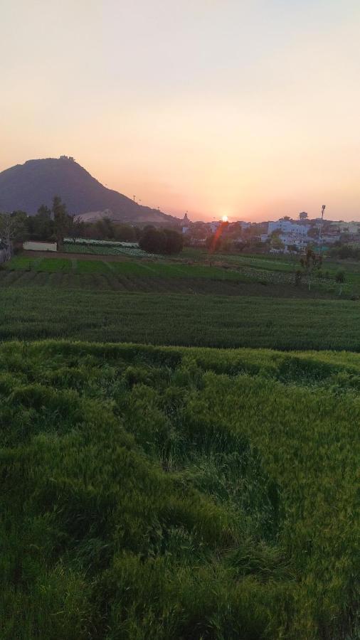 Hotel The Pushkar Flower Экстерьер фото