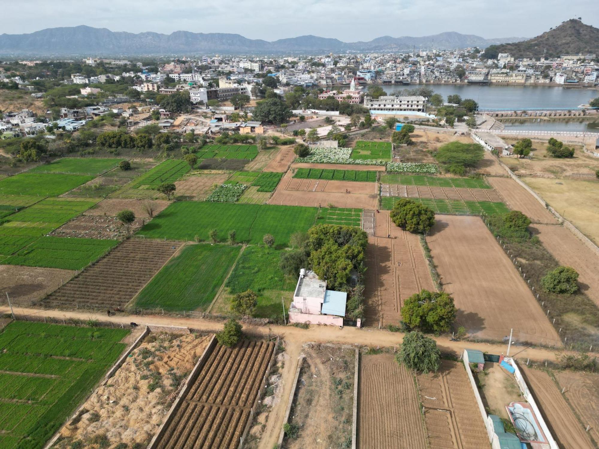 Hotel The Pushkar Flower Экстерьер фото